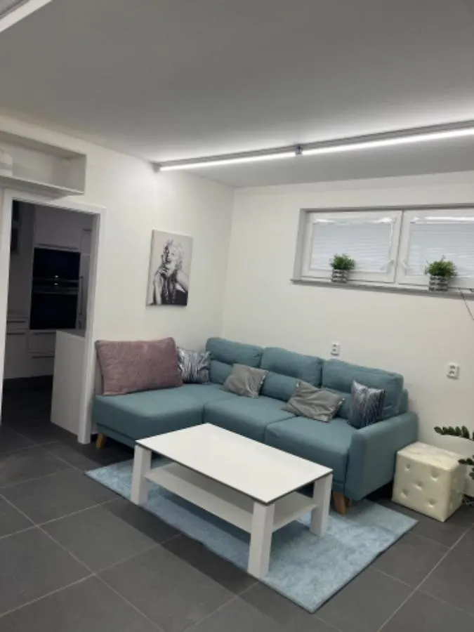 Apartmán Ubytovani-Praha 9-Vinor