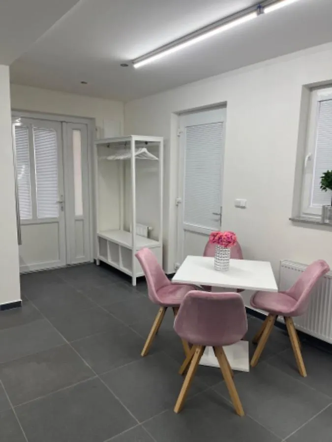 Apartmán Ubytovani-Praha 9-Vinor  Praha